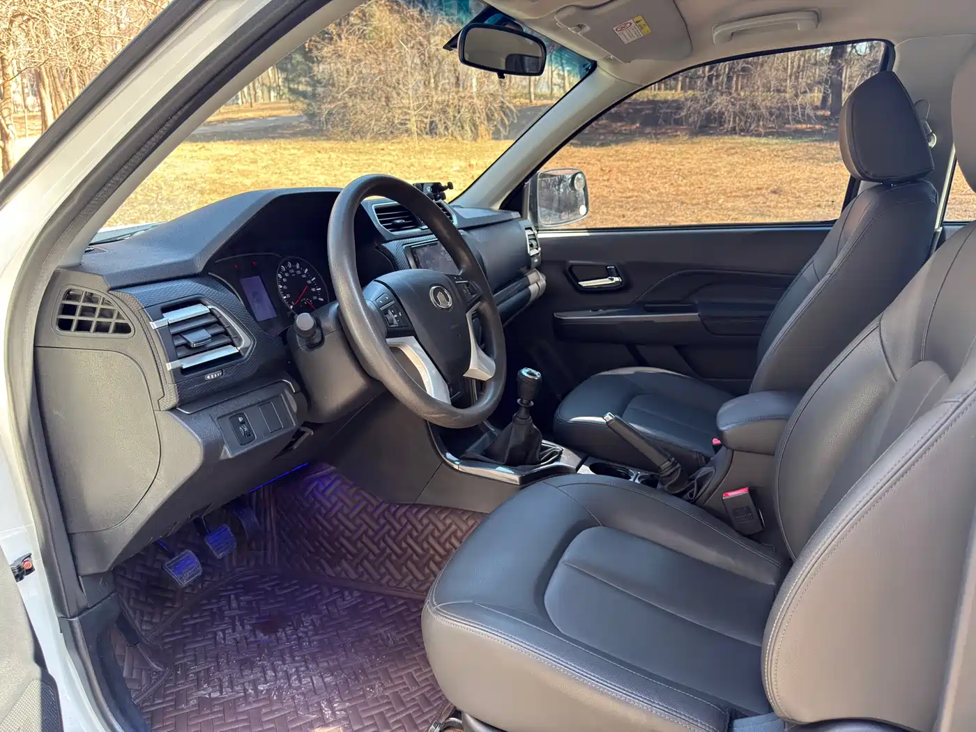 GREAT WALL FENGJUN 5