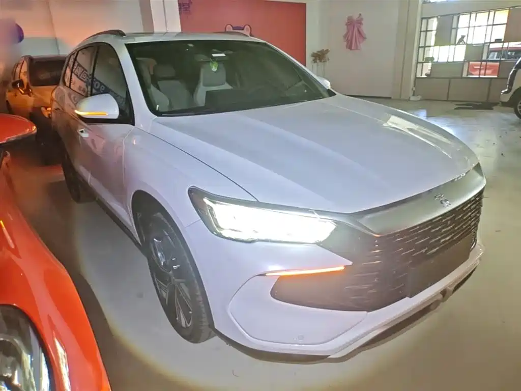 BYD Song Pro New Energy 2023 Champion Edition DM-i 110KM Excellence фото 4