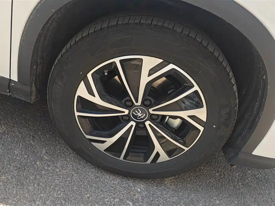 BYD Song Pro New Energy 2025 2nd Generation Smart Drive Edition DM-i 115KM Surpassing Type фото 6
