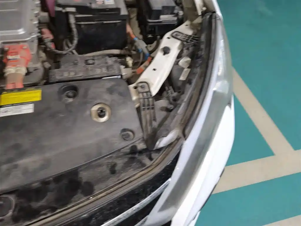 BYD Qin New Energy 2018 Qin EV450 Smart Connected Premium Edition фото 22