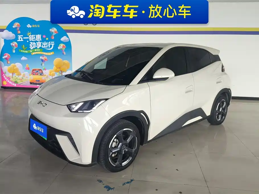 BYD Seagull 2024 Glory Edition 305km Freedom Edition