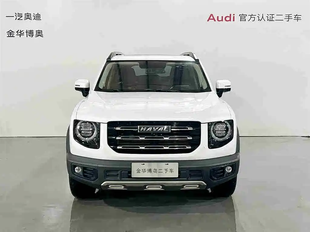 HAVAL BIG DOG
