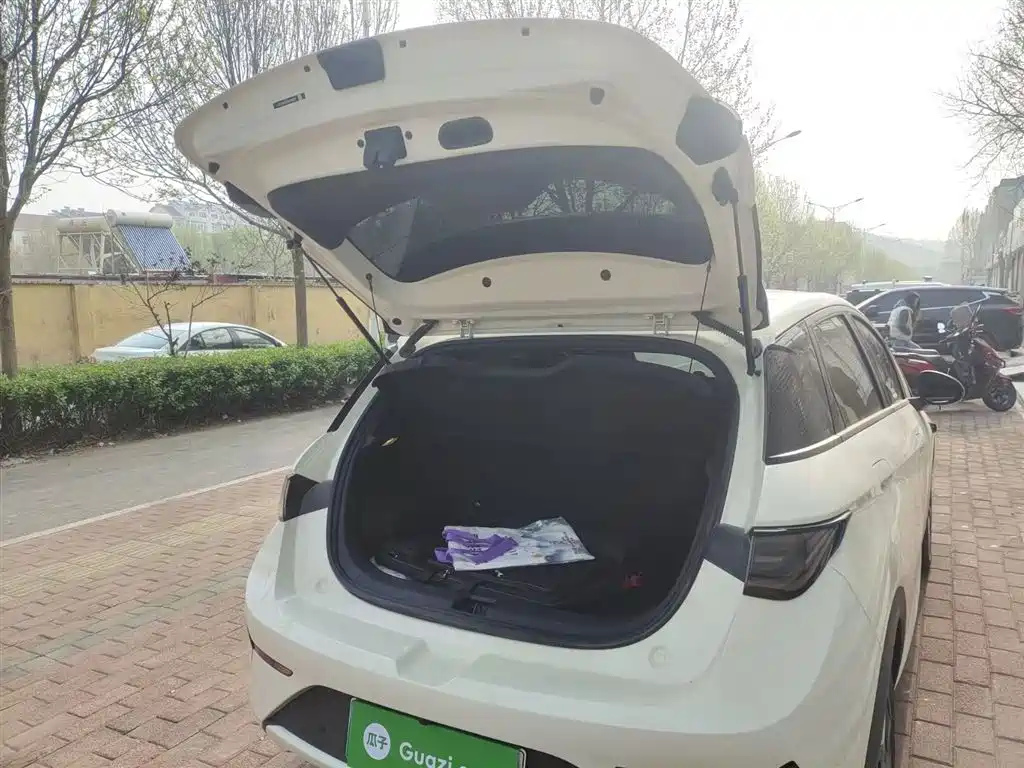 BYD Dolphin 2025 Smart Drive Edition 420km Freedom Version фото 19