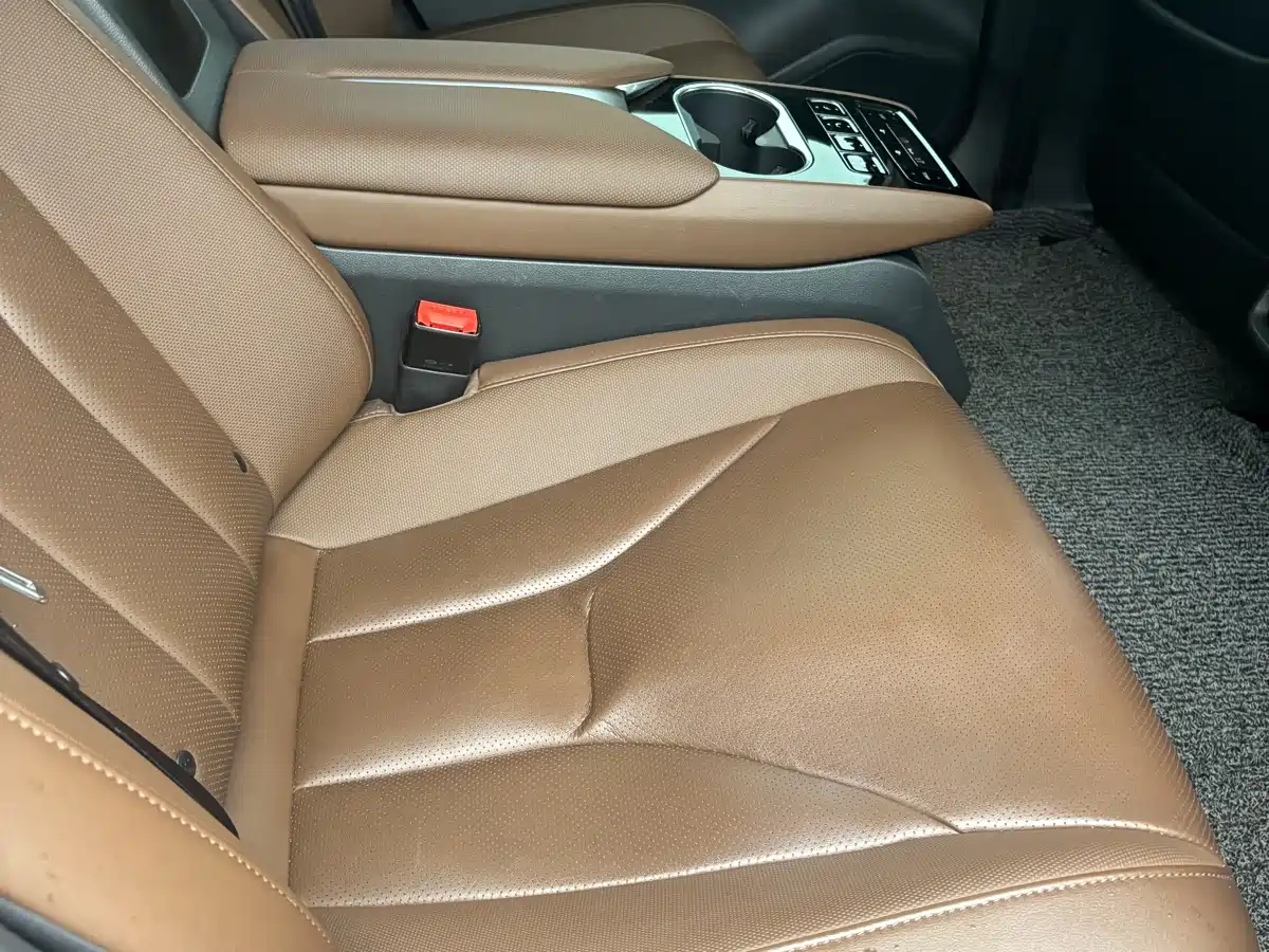 Hongqi E-QM5 2021 Charging Flag Joy Edition фото 11