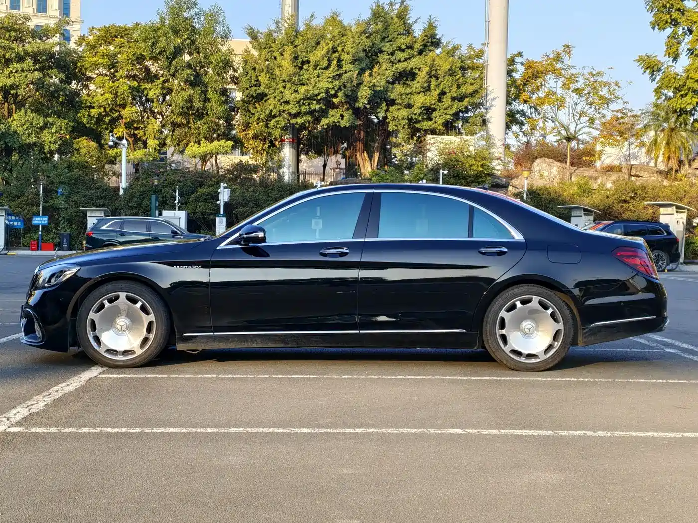 Mercedes-Benz S-Class 2014 S 500 L фото 8