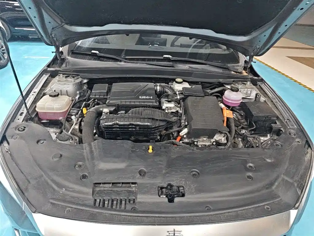 BYD Qin PLUS 2024 Glory Edition DM-i 55KM Leading фото 20