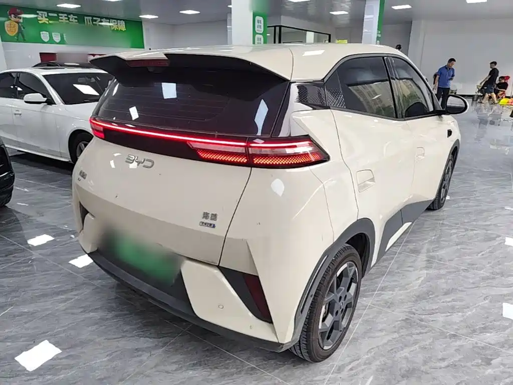 BYD Seagull 2026 2025 Smart Drive Edition 305km Freedom Version