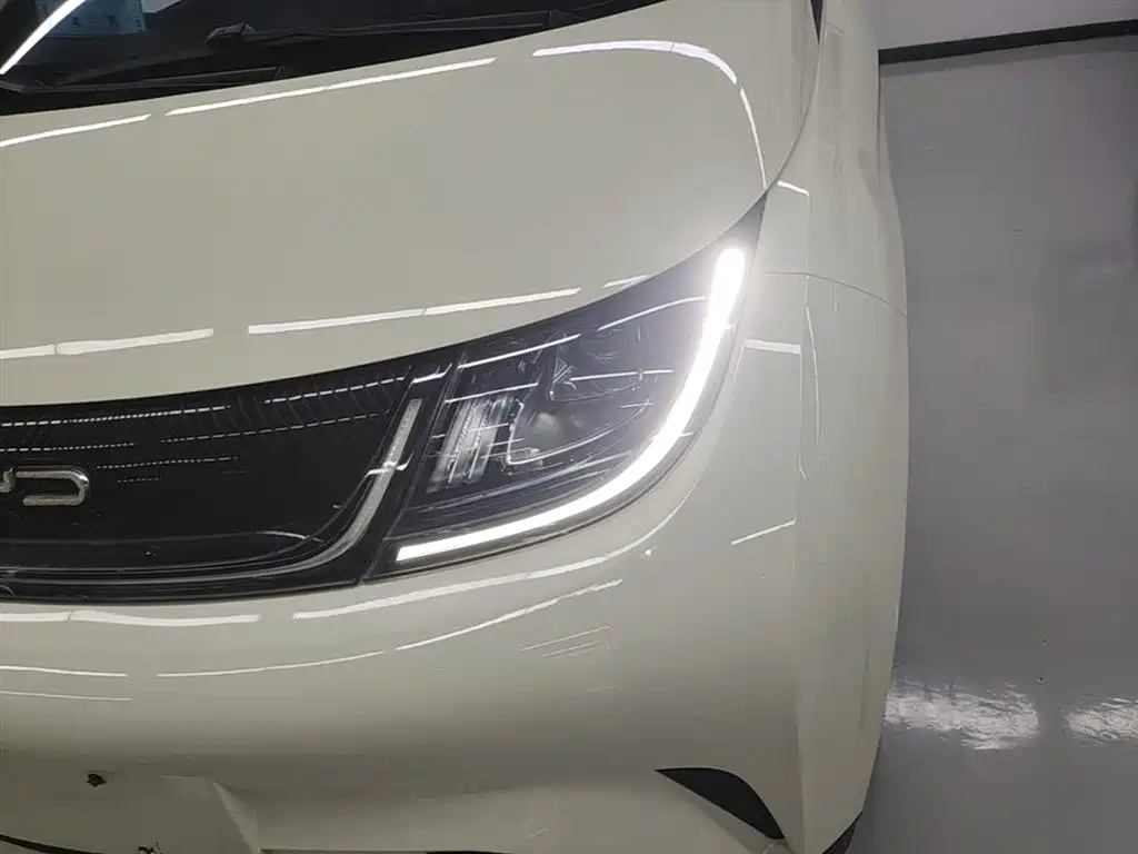 BYD Dolphin 2021 Model 405km Fashion Edition фото 18