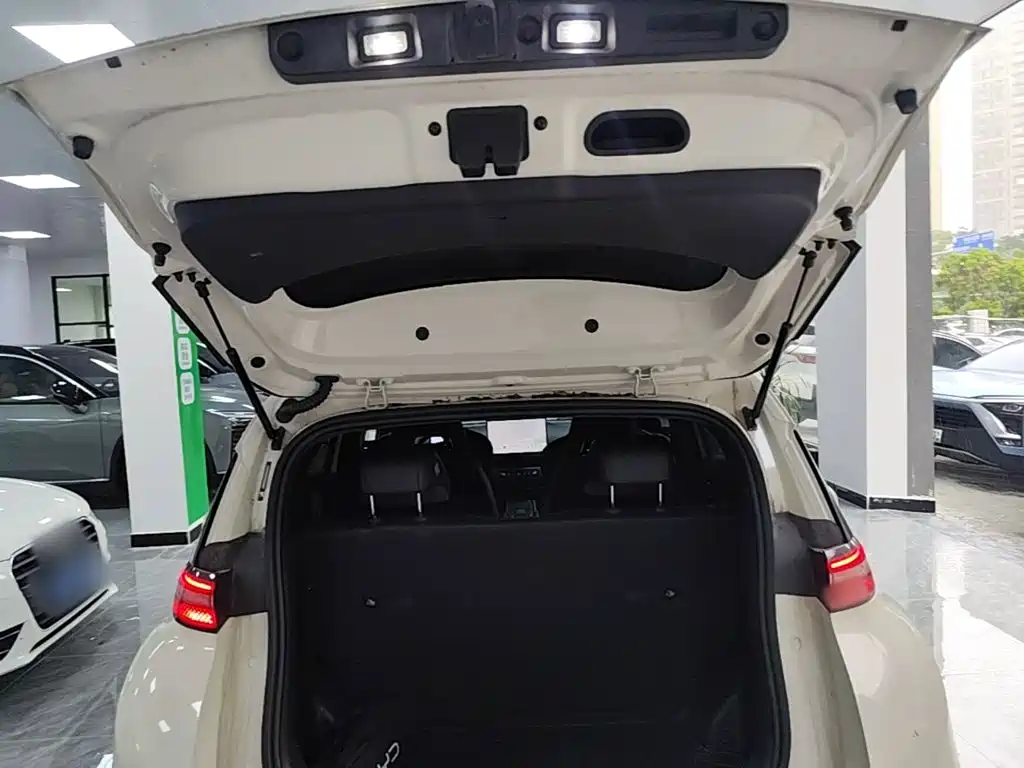 BYD Seagull 2026 2025 Smart Drive Edition 305km Freedom Version