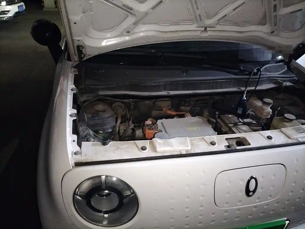 Ora Black Cat 2022 2022 Facelift 301km Pet Edition LFP Version