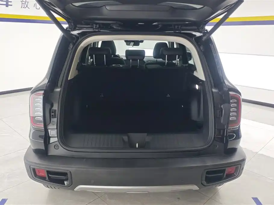 Haval Big Dog 2024 1.5T DCT Border Collie Edition фото 4