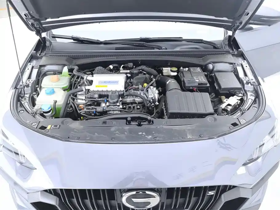 GAC Trumpchi Trumpchi Emkoo 2024 Model 270T DCT Shadow Leopard S Edition фото 10
