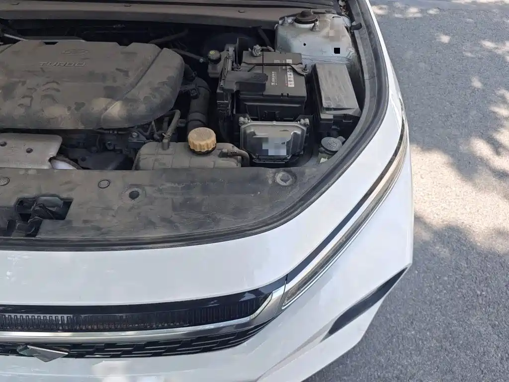 Baojun Valli 2021 2021 1.5T Nagqu Starry Sky CVT Flagship Model