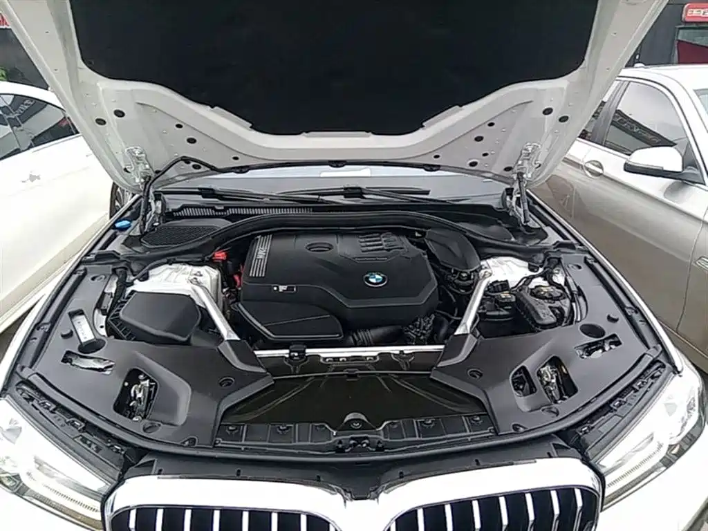 BMW 5 Series 2022 Model Second Facelift 530Li Leading M Sport Package фото 20