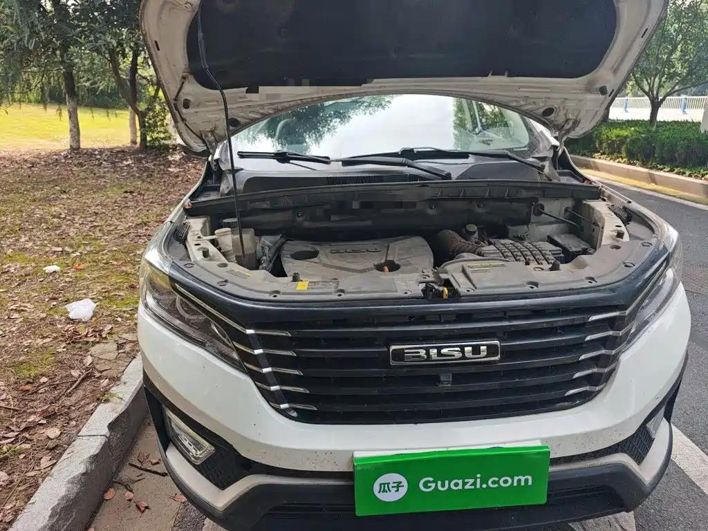 Bisu Auto Bisu T5 2017 2017 1.5T Manual Luxury