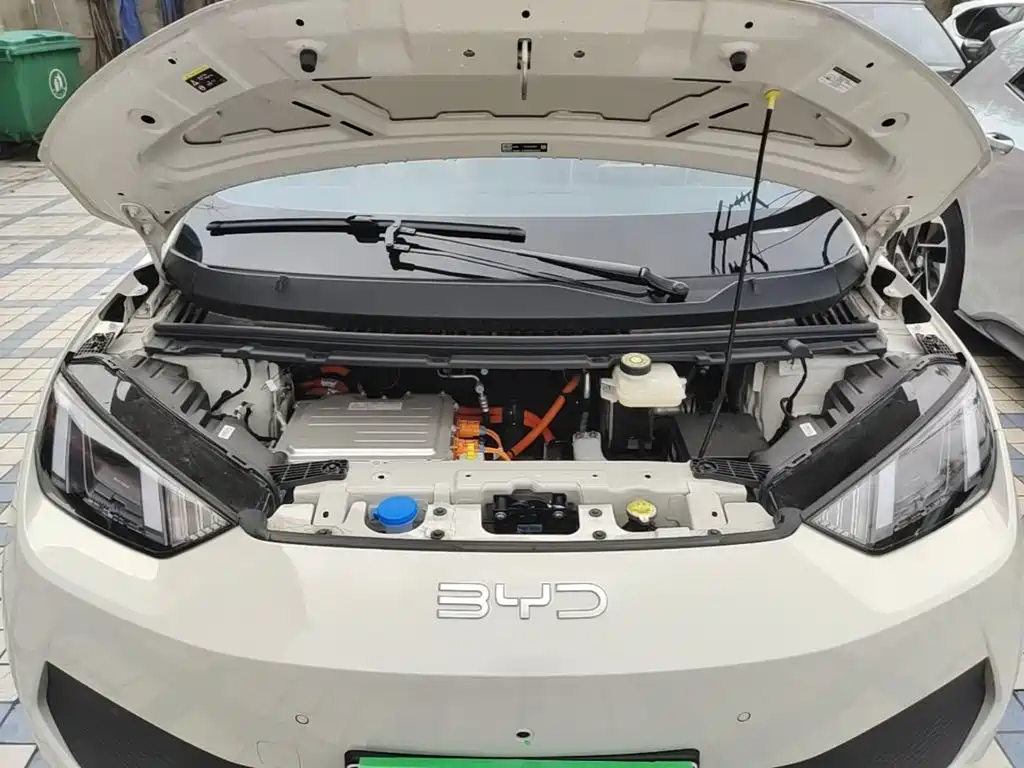 BYD Seagull 2026 2025 Smart Drive Edition 305km Freedom Version
