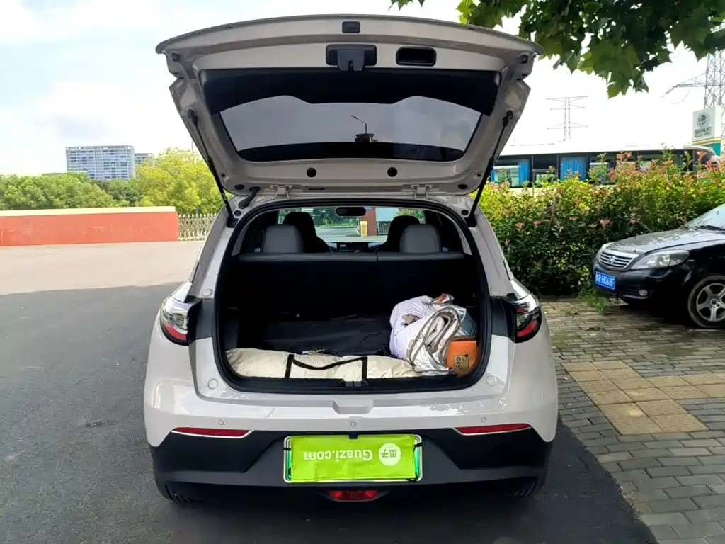 Geely Galaxy Starry Wish 2026 2026 Edition 310km Youth Version