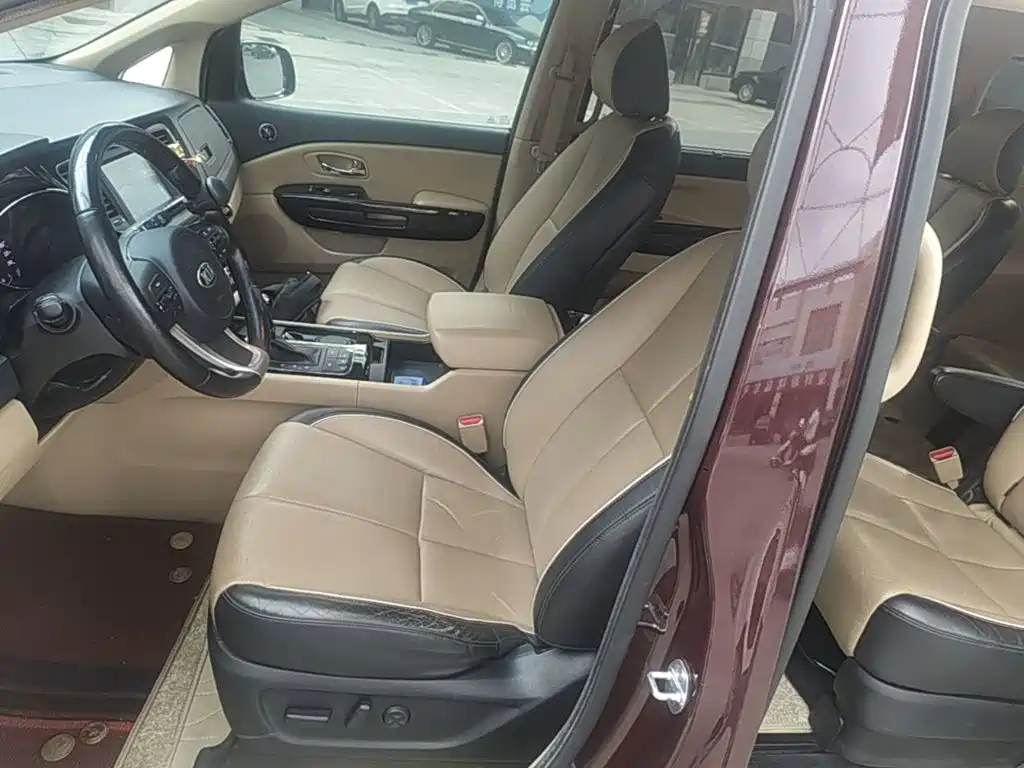 Фото 15 - Kia Carnival (Import)