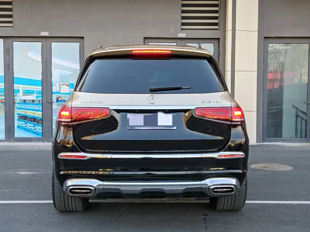 Mercedes-Benz Maybach GLS 2022 GLS 480 4MATIC фото 5