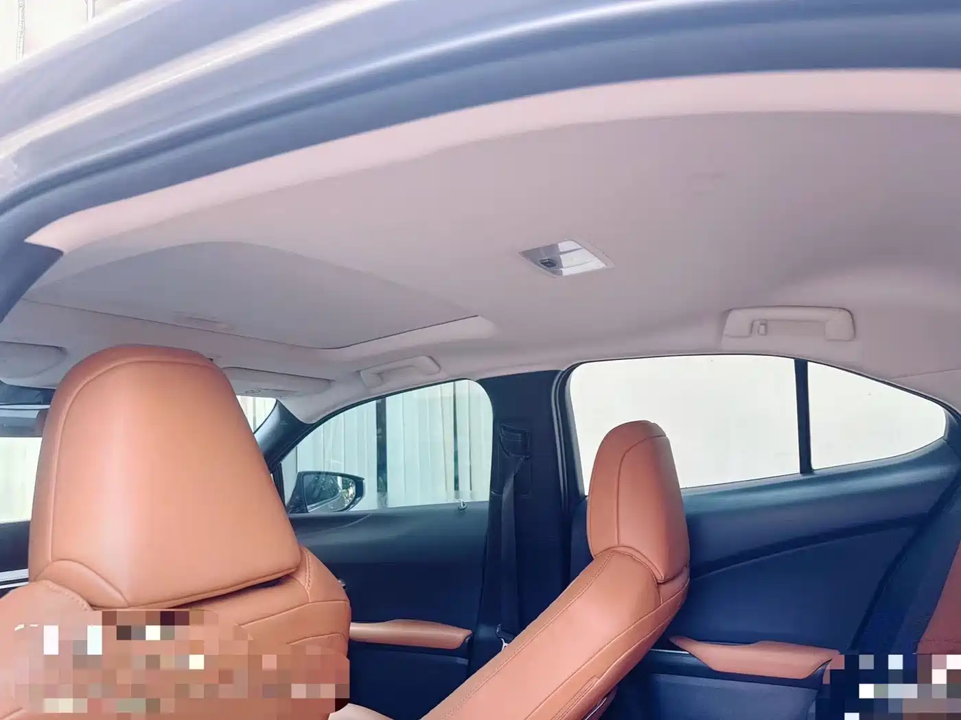 Lexus UX Electric 2022 2020 300e Pure Yue Edition