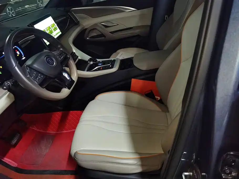 BYD Song Pro New Energy 2024 Glory Edition DM-i 71KM Pilot фото 9