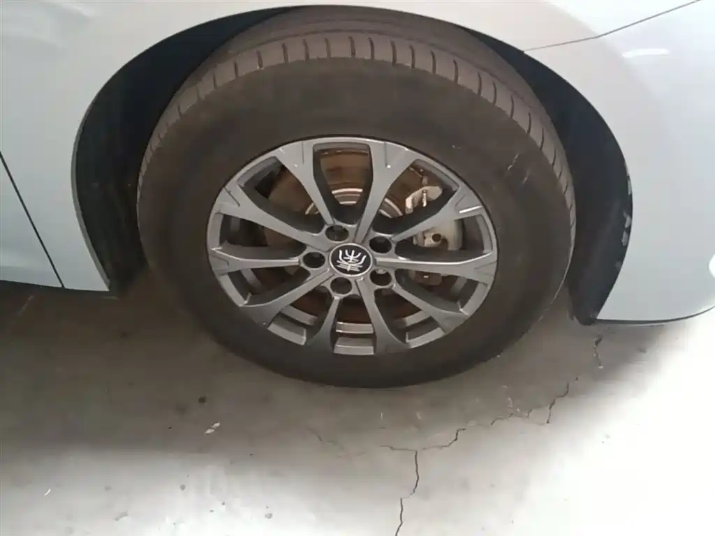 BYD Qin L 2024 DM-i 80KM Leading Edition фото 14