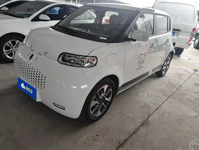Ora White Cat 2020 305km Luxury