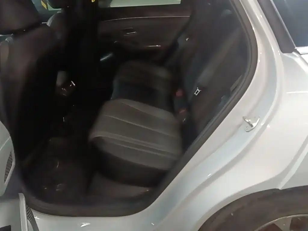 BYD Qin L 2024 DM-i 80KM Leading Edition фото 24