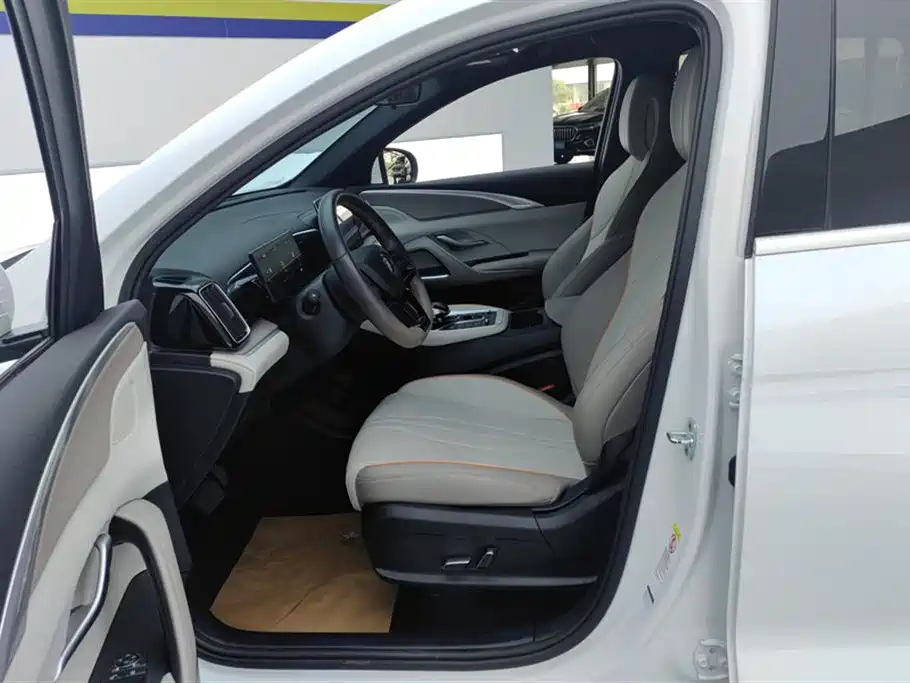 BYD Song Pro New Energy 2024 Glory Edition DM-i 71KM Pilot фото 9
