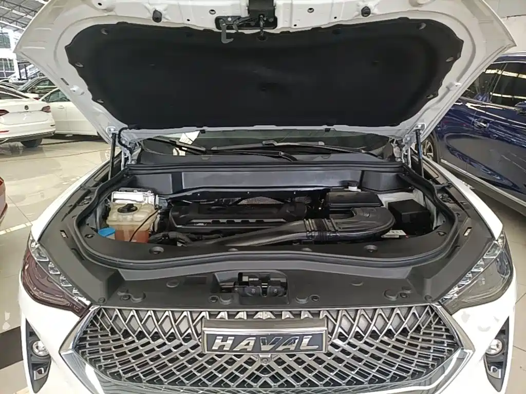 Haval F7 2021 2021 2.0T AWD i-Joy