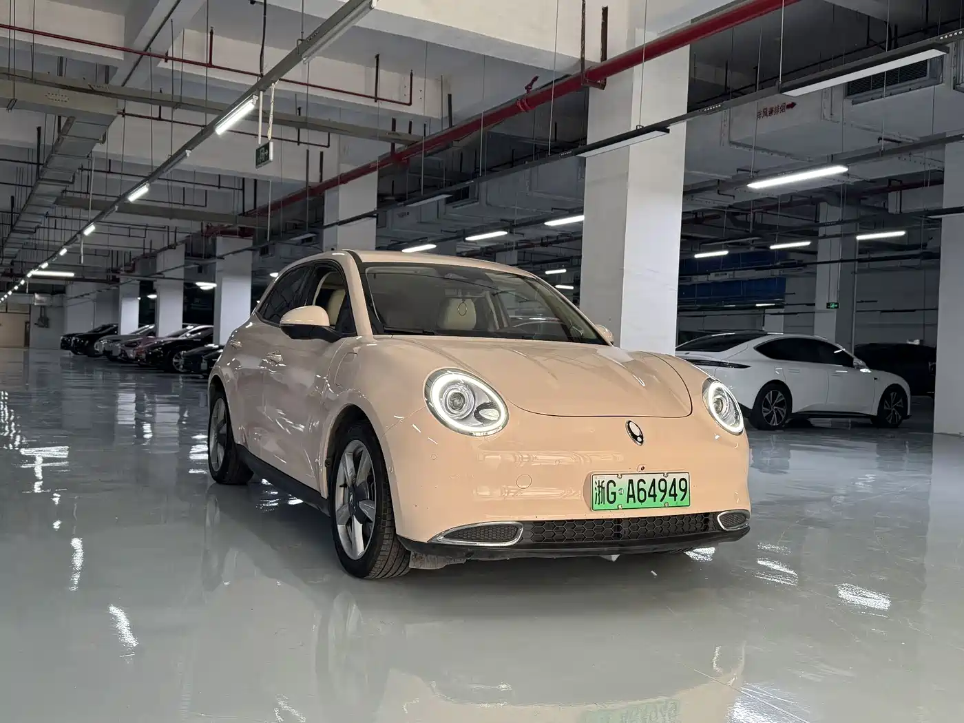 Ora Good Cat 2021 400km Standard Range Venus Edition (NCM)