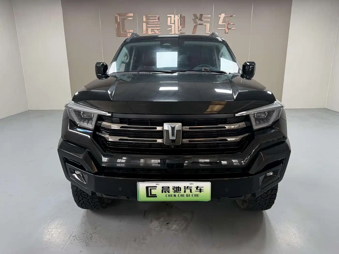 Tank 400 New Energy 2023 Hi4-T Super Edition фото 2