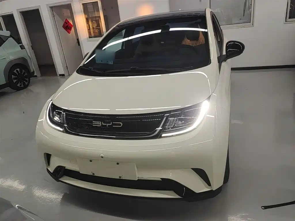 BYD Dolphin 2021 Model 405km Fashion Edition фото 3