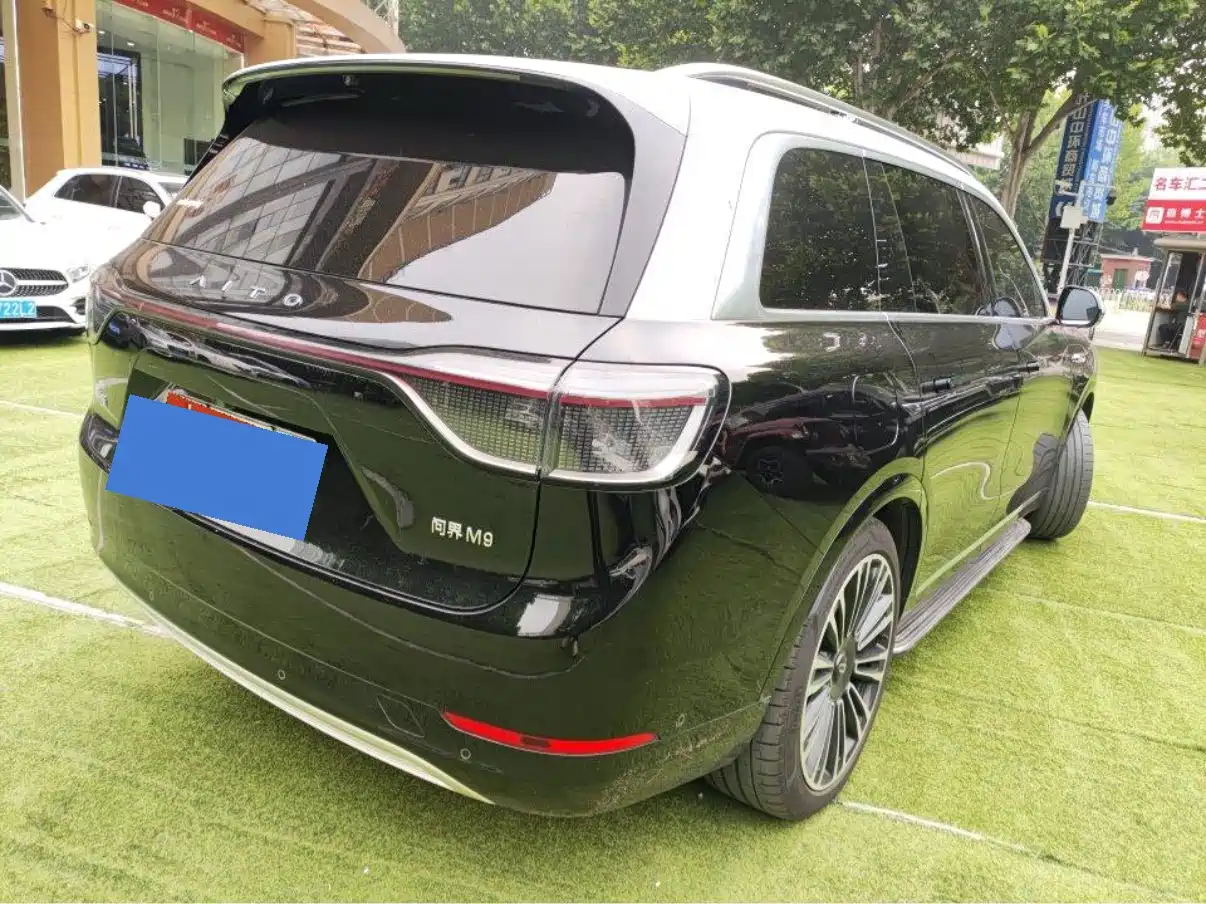 AITO Wenjie AITO M9 2024 Range Extender Max Edition 42kWh 6-seater фото 4