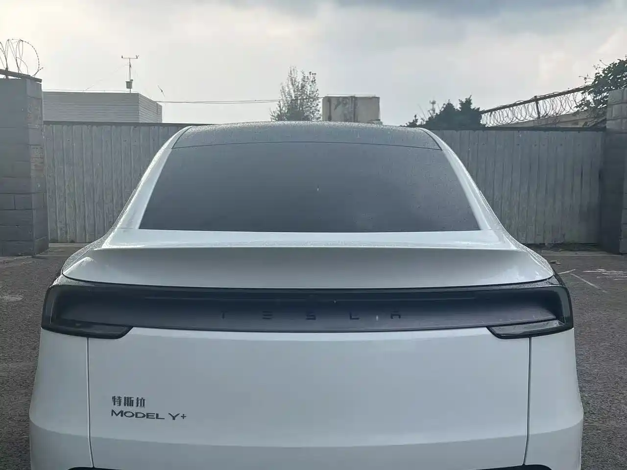 Фото 6 - Tesla Model Y