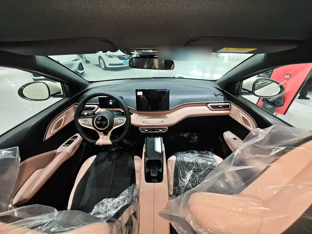 BYD Seagull 2026 2025 Smart Drive Edition 305km Vitality Version