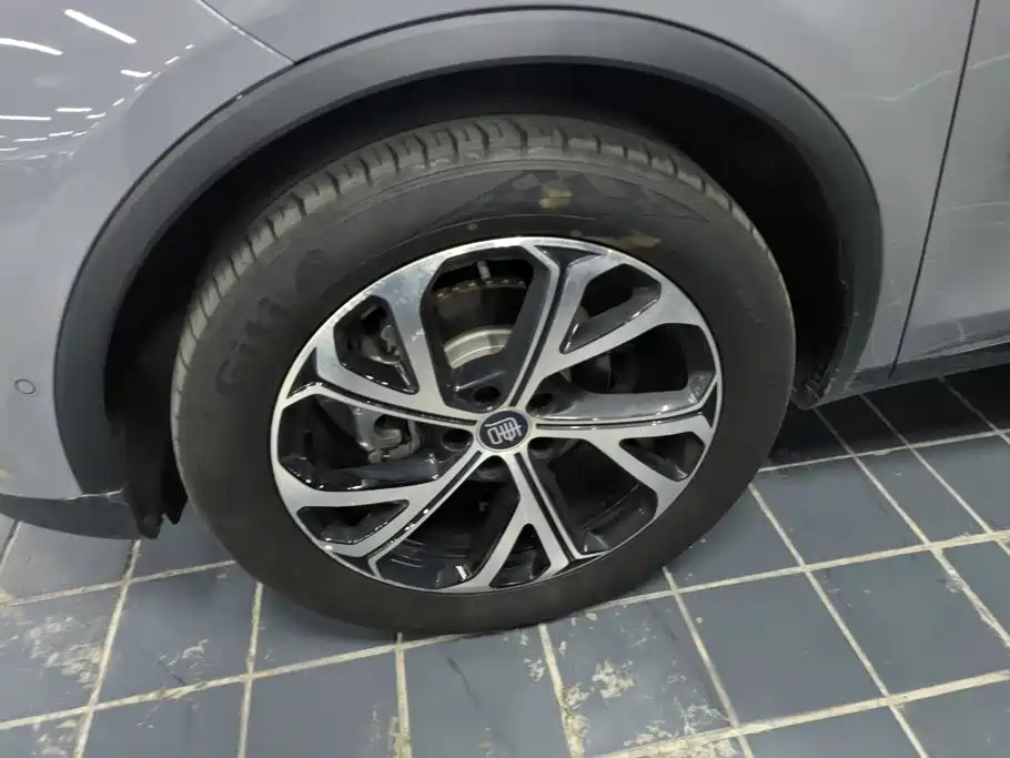 BYD Tang New Energy 2026 2025 Smart Driving Edition DM-i 115KM Premium