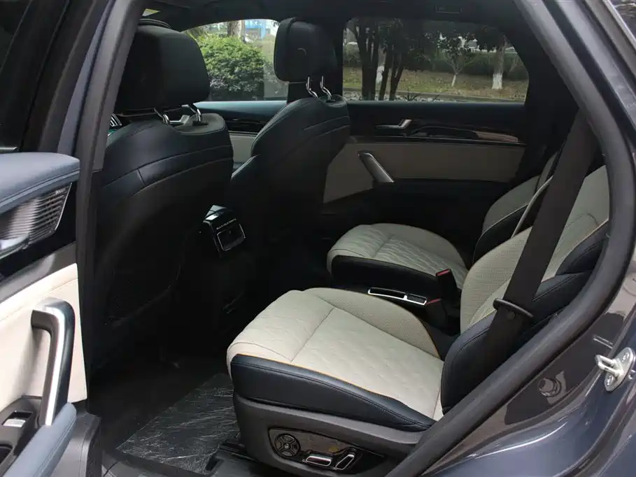BYD Tang New Energy 2022 EV 635KM AWD Flagship фото 9