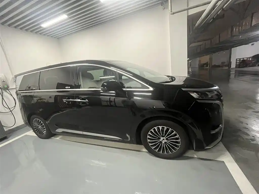 Denza D9 2022 DM-i 970 AWD Flagship фото 3