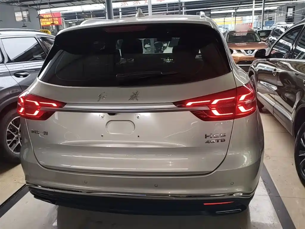 Hongqi HS5 2019 2.0T Smart Connect Enjoy Edition фото 6