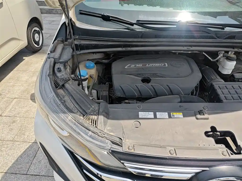 GAC Trumpchi Trumpchi M6 2021 270T DCT Luxury Edition (7-Seater) фото 21