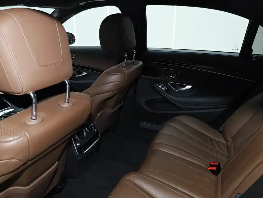 Mercedes-Benz S-Class 2020 S 350 L Business Edition Collector's Version фото 21