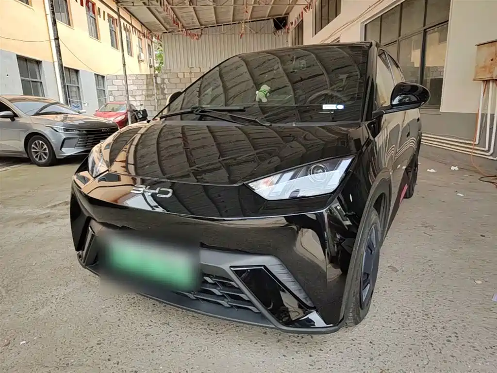 BYD Seagull 2024 Glory Edition 305km Vitality Edition
