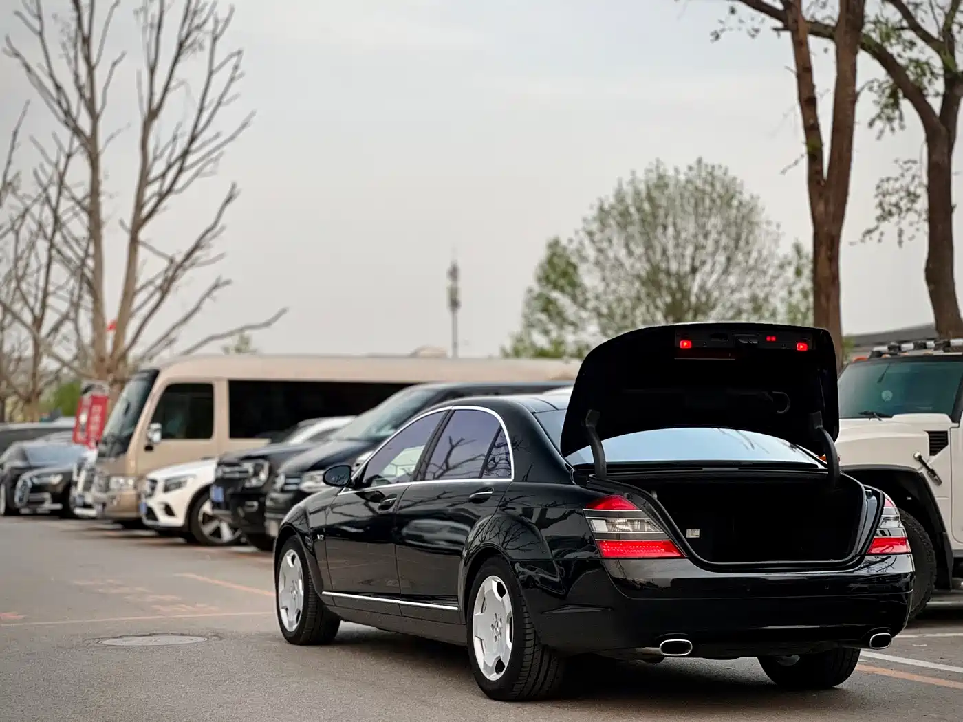 Mercedes-Benz S-Class 2008 Model S 600 L фото 5