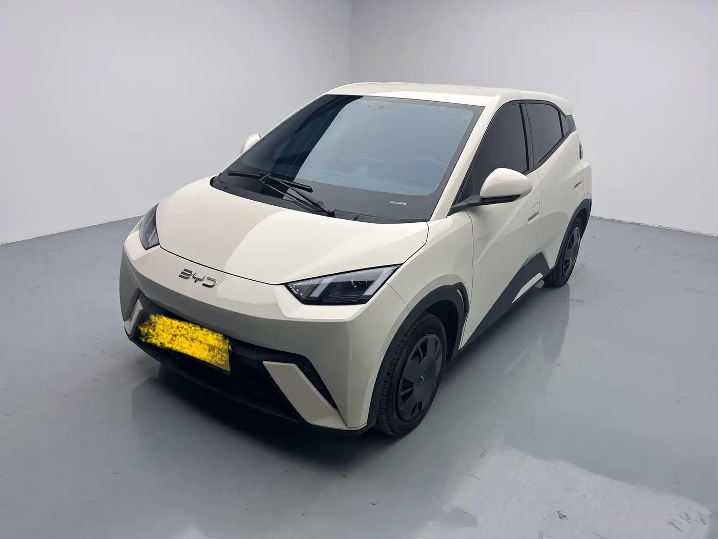 BYD Seagull 2025 305km Vitality