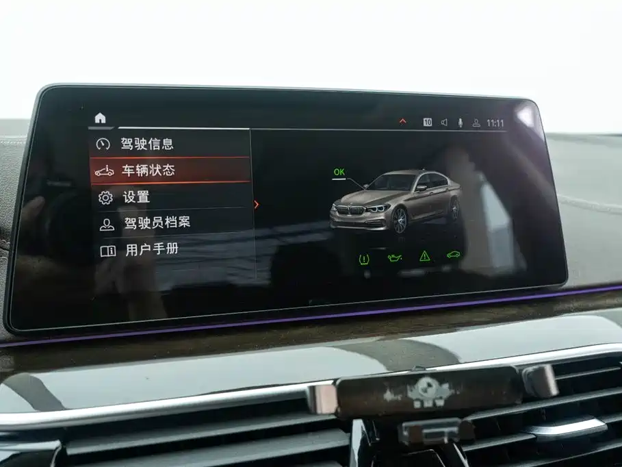 BMW 5 Series 2020 525Li Luxury Package фото 11
