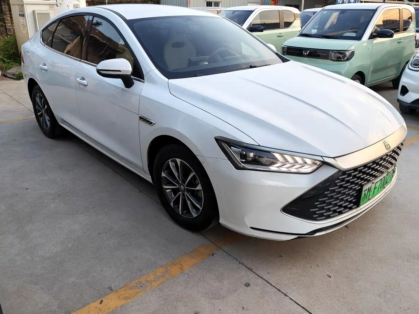 BYD Qin PLUS 2024 Glory Edition DM-i 55KM Leading фото 3