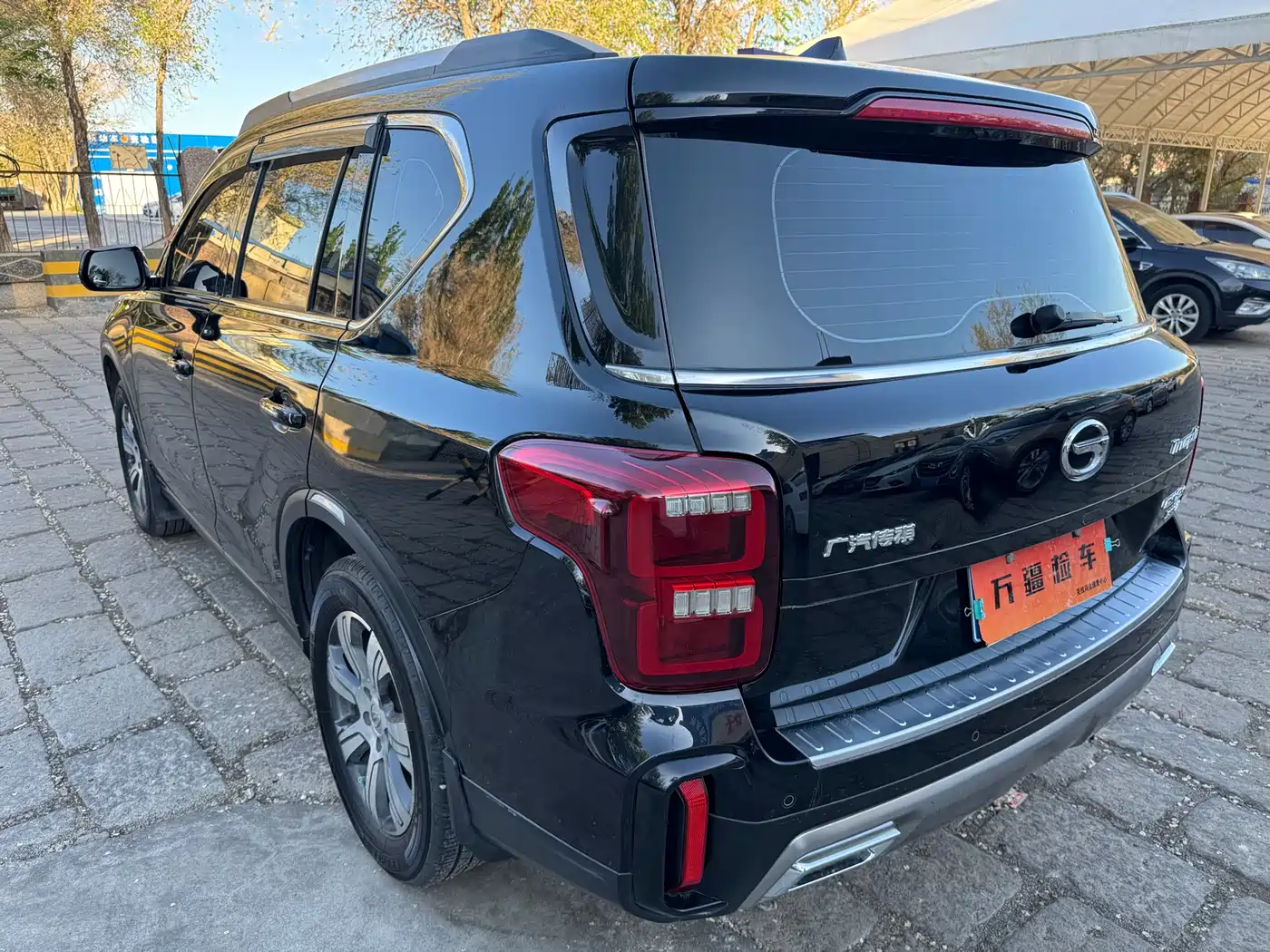 GAC Trumpchi Trumpchi GS8 2020 Model 390T FWD Luxury (5-seater) фото 7