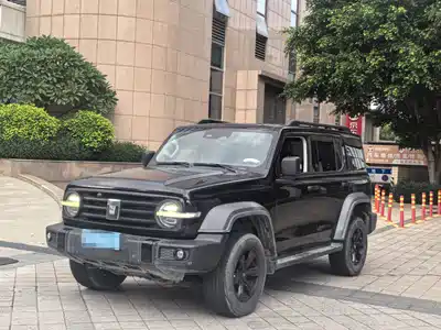Tank 300