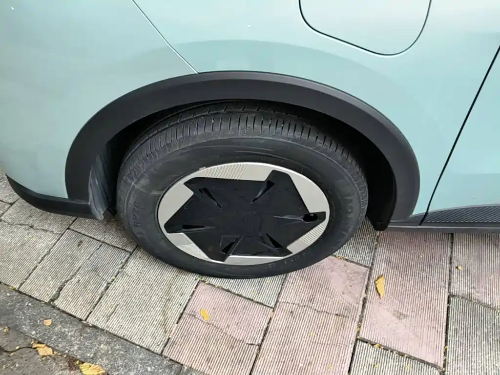Geely Geometry E Firefly 2024 2024 Model 301km Starlight